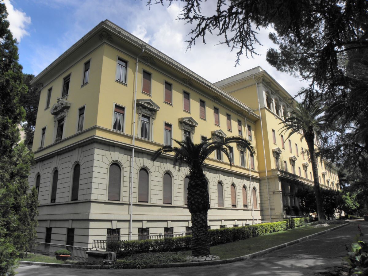 pontificium collegium nepomucenum